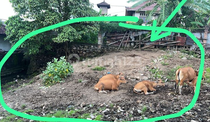 Land for Sale in Kerobokan