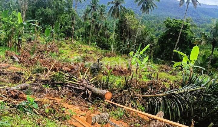 Tanah Jual Lokasi Karang Asem