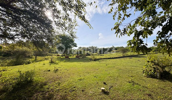 Land for Sale, Location: Nusa Dus