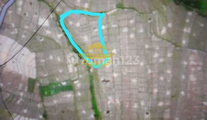 Tanah Jual Lokasi Munggu