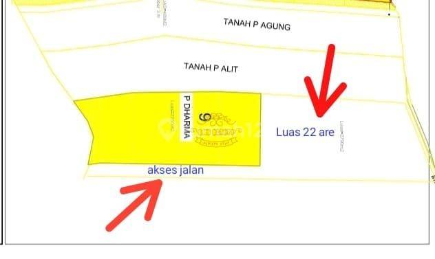 Land for sale in Umalas location 1