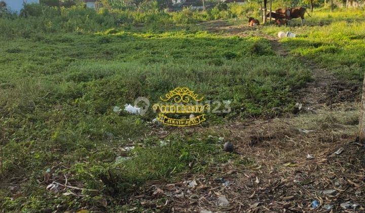 Land for sale in Umalas location 2