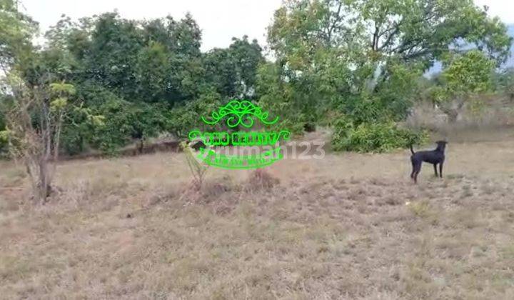 Land for sale Tulamben location 1