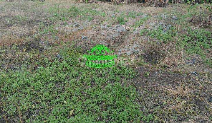 Land for sale in Pererenan location 1