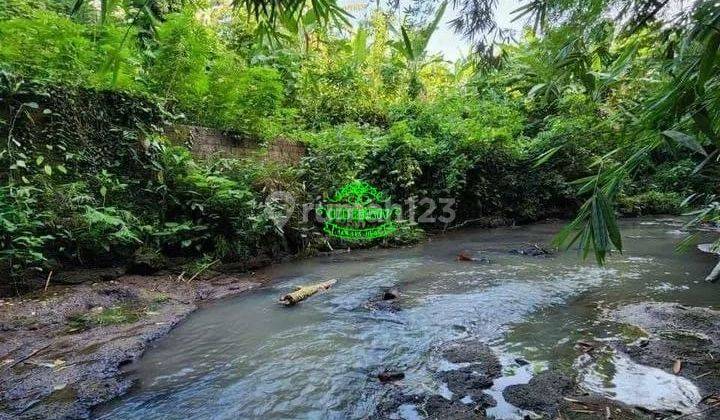 Land for sale in Kedungu location 1