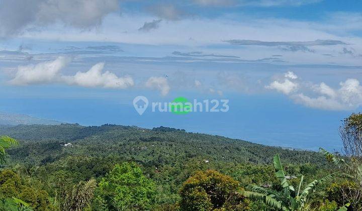 Land for sale in Munduk location 2