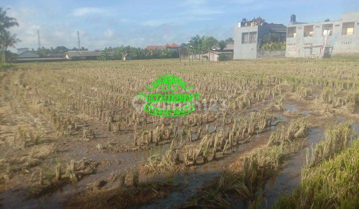 Land for sale Ubud location 2