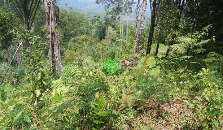 Tanah Jual Lokasi Banjar 1