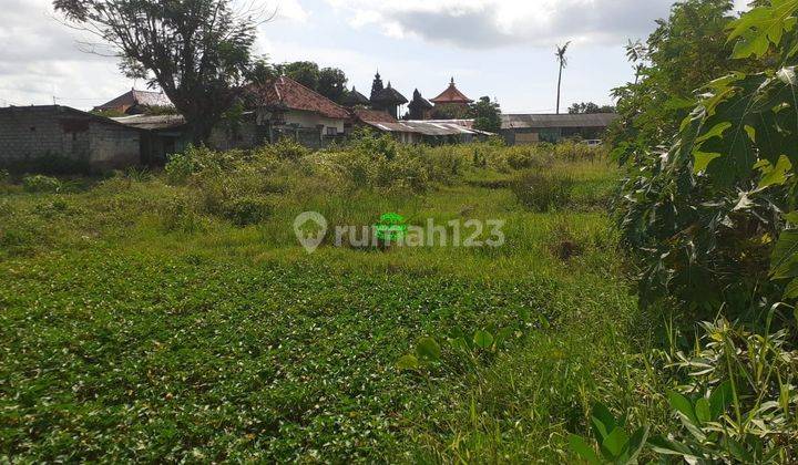 Tanah Jual Lokasi Pemogan 1