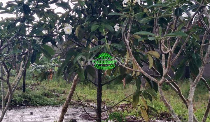 Land for Sale Location Marga 1