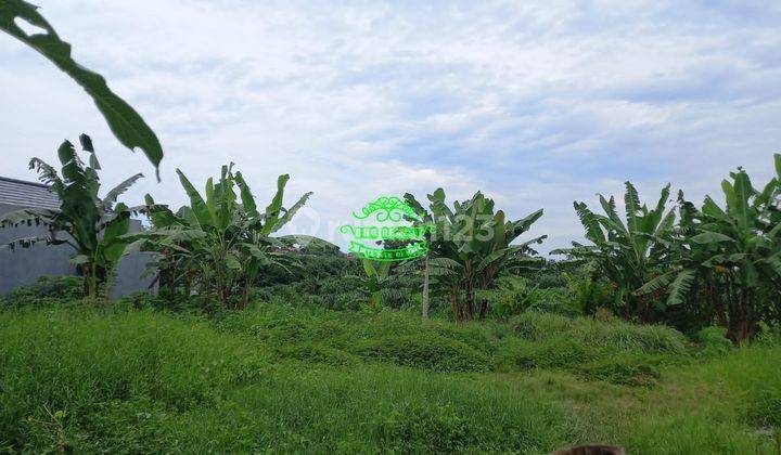 Land for sale in Tumbak Bayuh location 1