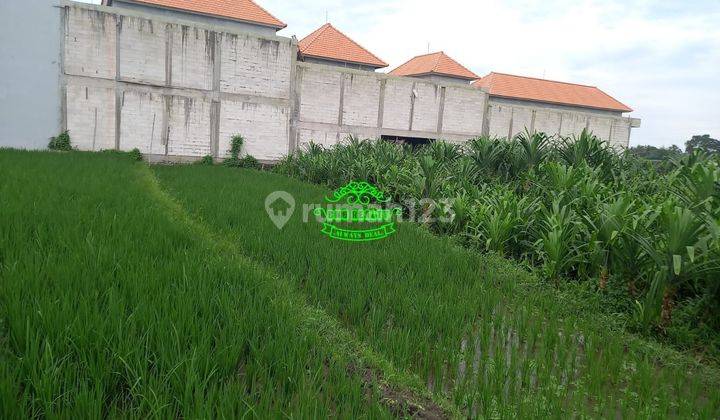 Land for sale in Tumbak Bayuh location 2