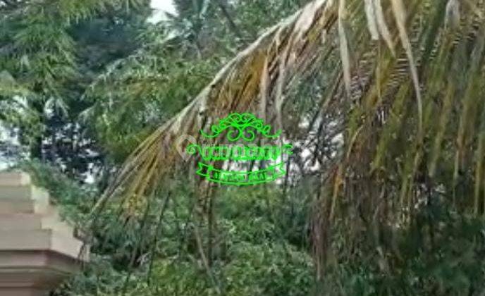 Villa Jual Lokasi Bongkasa 1