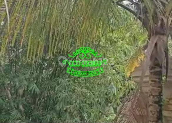 Villa Jual Lokasi Bongkasa 2