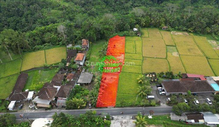 Tanah Jual Lokasi Kedewatan 1