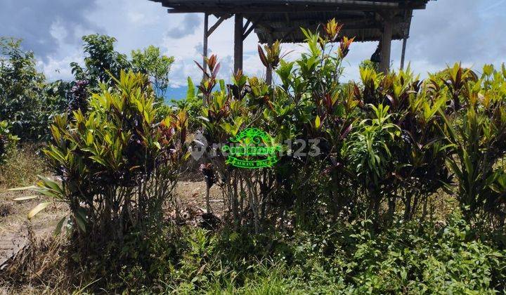 Tanah Jual Lokasi Gobleg 1