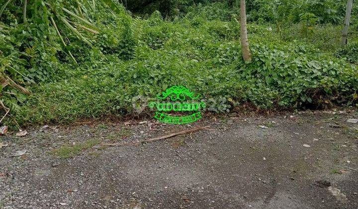 Tanah Jual Lokasi Pemogan 3
