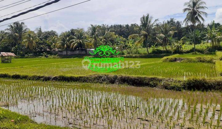 Tanah Jual Lokasi Banjar Asem 2