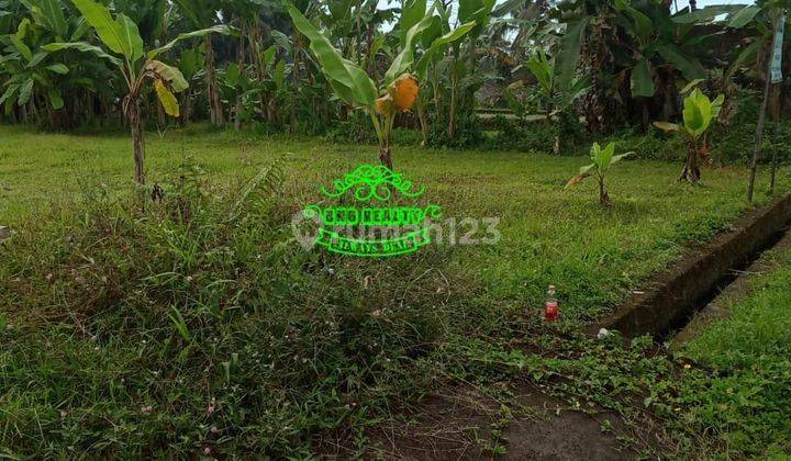 Tanah Jual Lokasi Payangan 3