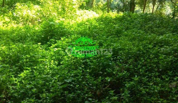 Land for sale in Keliki location 2