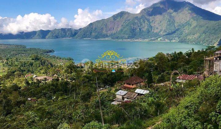 Tanah Jual Lokasi Penelokan 1