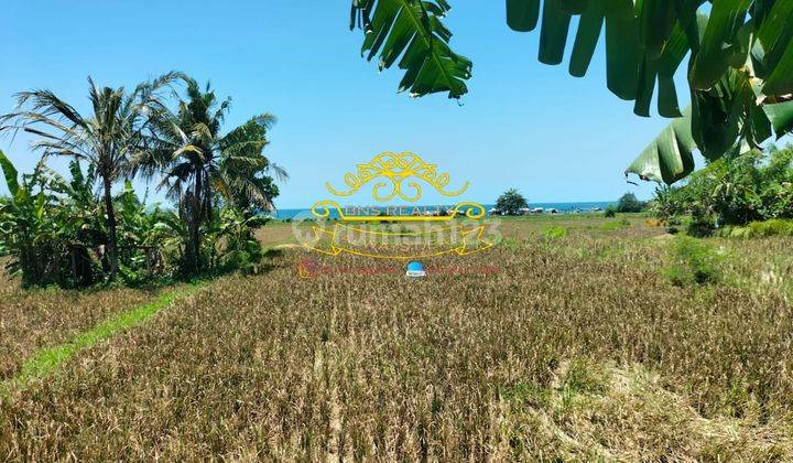 Tanah Sewa Lokasi Siyut 3