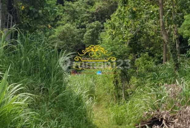Land for Sale in Dawan Location