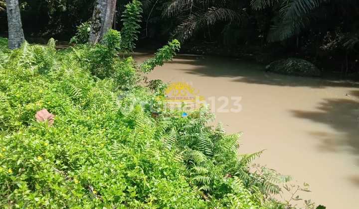 Land for Sale in Kelating Location