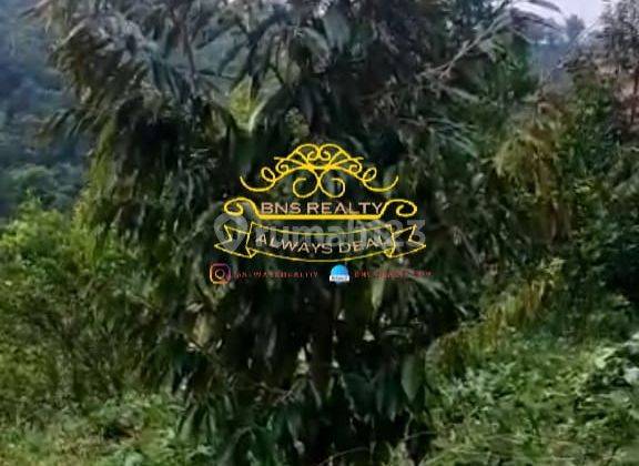 Land for sale in Bangli location 1