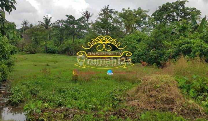 Land for sale in Rangkakan location 2