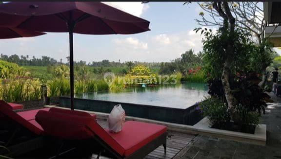 Villa Jual Lokasi Singakerta 3