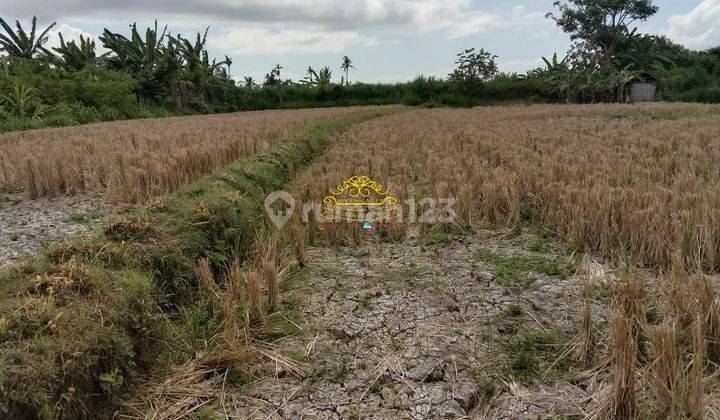 Land for sale in Pering location 2