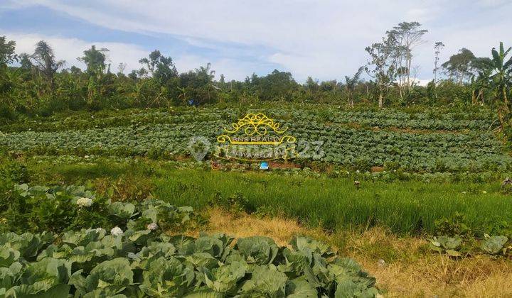 Tanah Jual Lokasi Gobleg 1