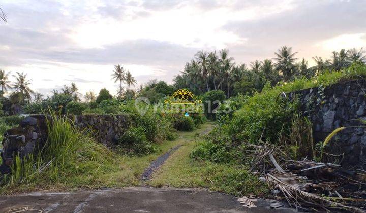 Tanah Jual Lokasi Saba 1