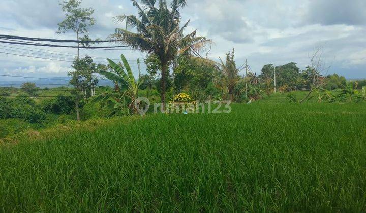 Land for sale in Sukawati location 1