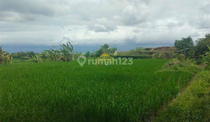 Land for sale in Sukawati location 2