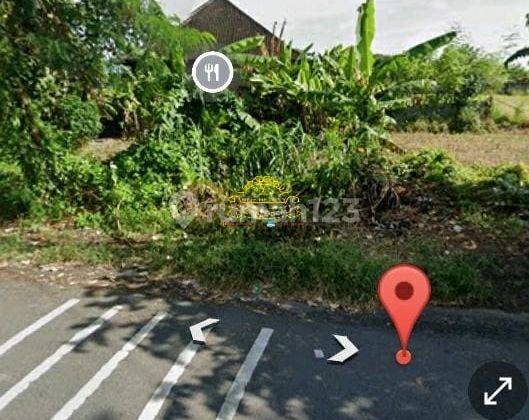 Tanah Sewa Lokasi Padang Galak 1
