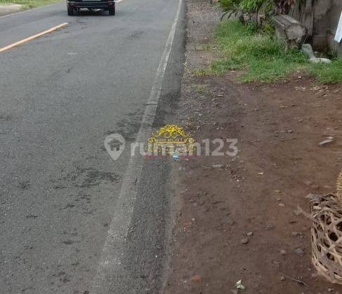 Tanah Jual Lokasi Seririt 3