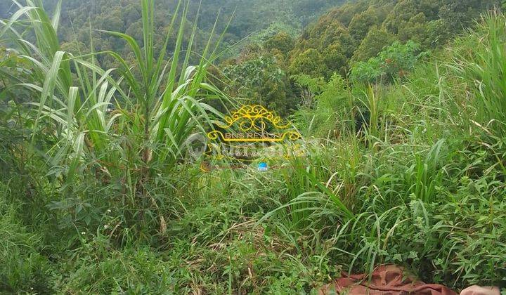Tanah Jual Lokasi Munduk 1
