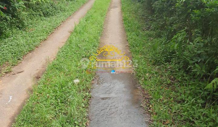 Tanah Jual Lokasi Munduk 3