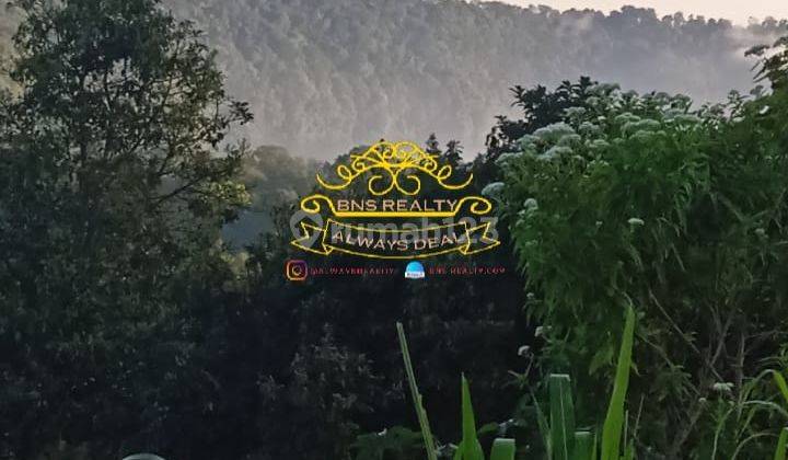 Tanah Jual Lokasi Munduk 2