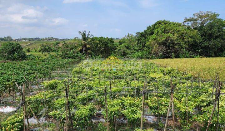 Tanah Jual Lokasi Belumbang 2