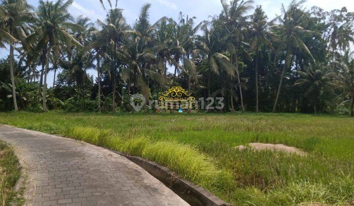 Tanah Sewa Lokasi Lodtunduh 1