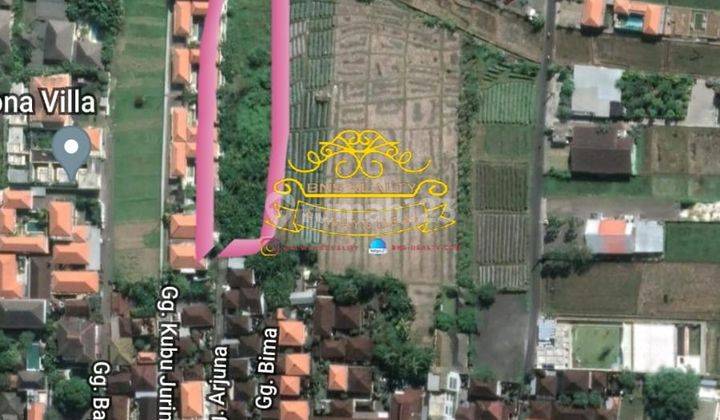 Tanah Sewa Lokasi Batu Belig 2