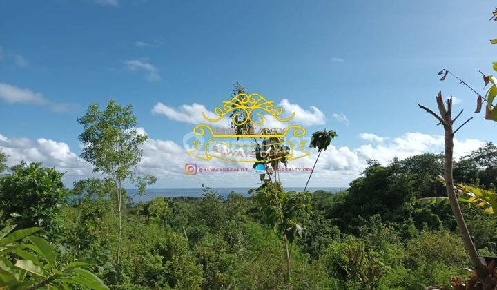 Tanah Sewa Lokasi Uluwatu 1