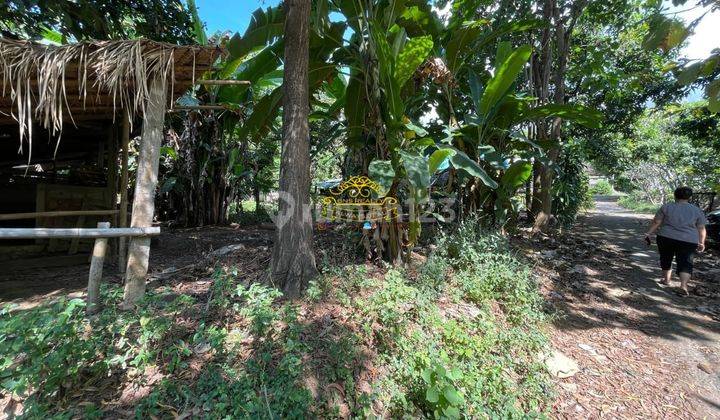 Tanah Jual Lokasi Tembok 2