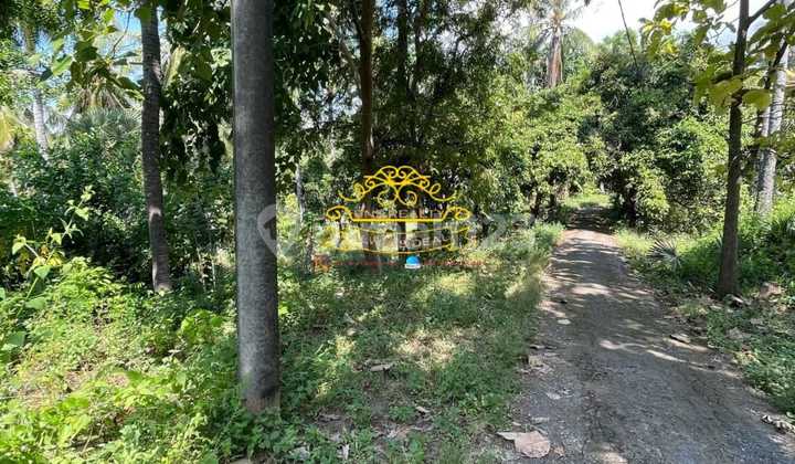 Tanah Jual Lokasi Tembok 3