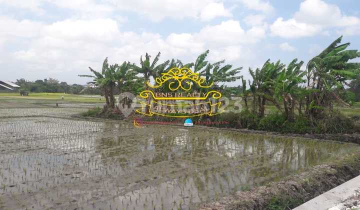 Tanah Jual Lokasi Buwit 1