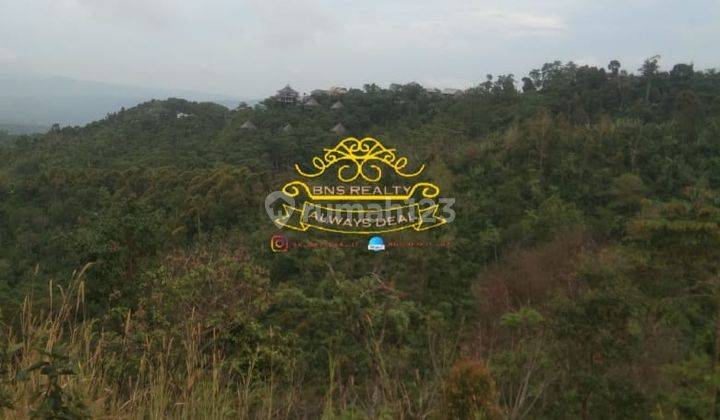 Tanah Jual Lokasi Munduk 1