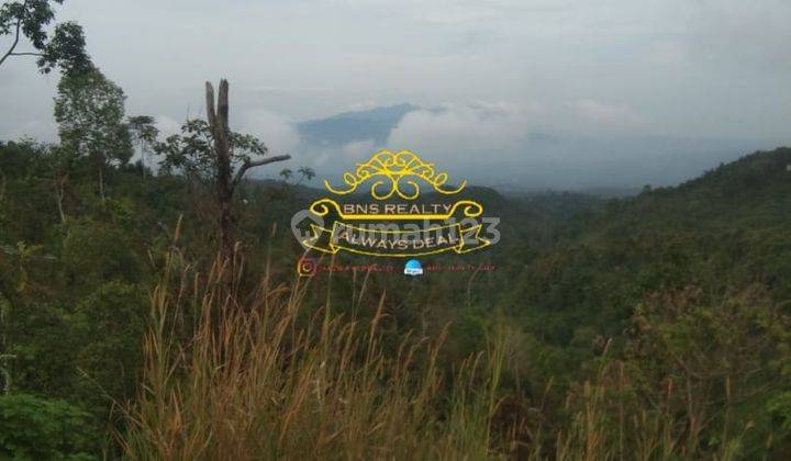 Tanah Jual Lokasi Munduk 2